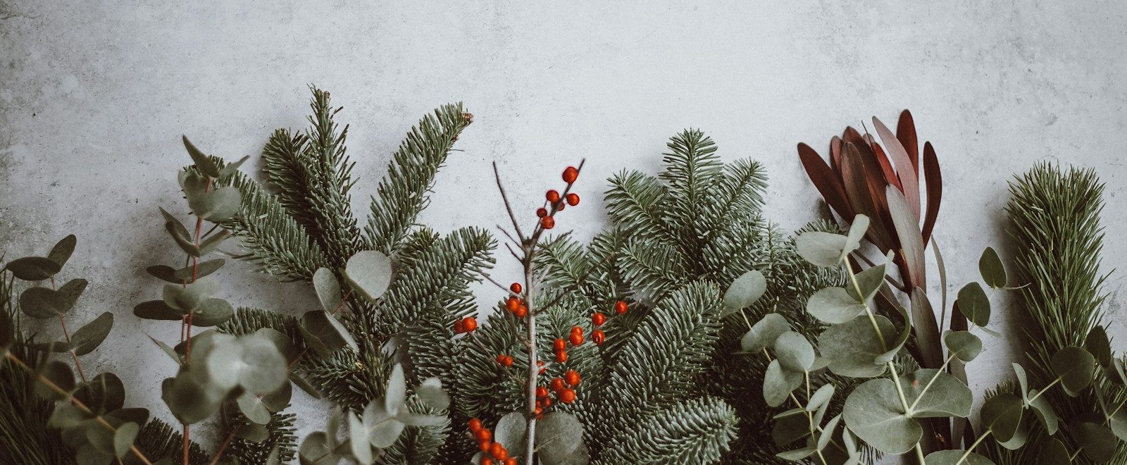 photo of green leafed plants